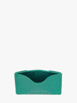 Kaarthouder Leder Paul marius Blauw star GABINSTA-vue-porte